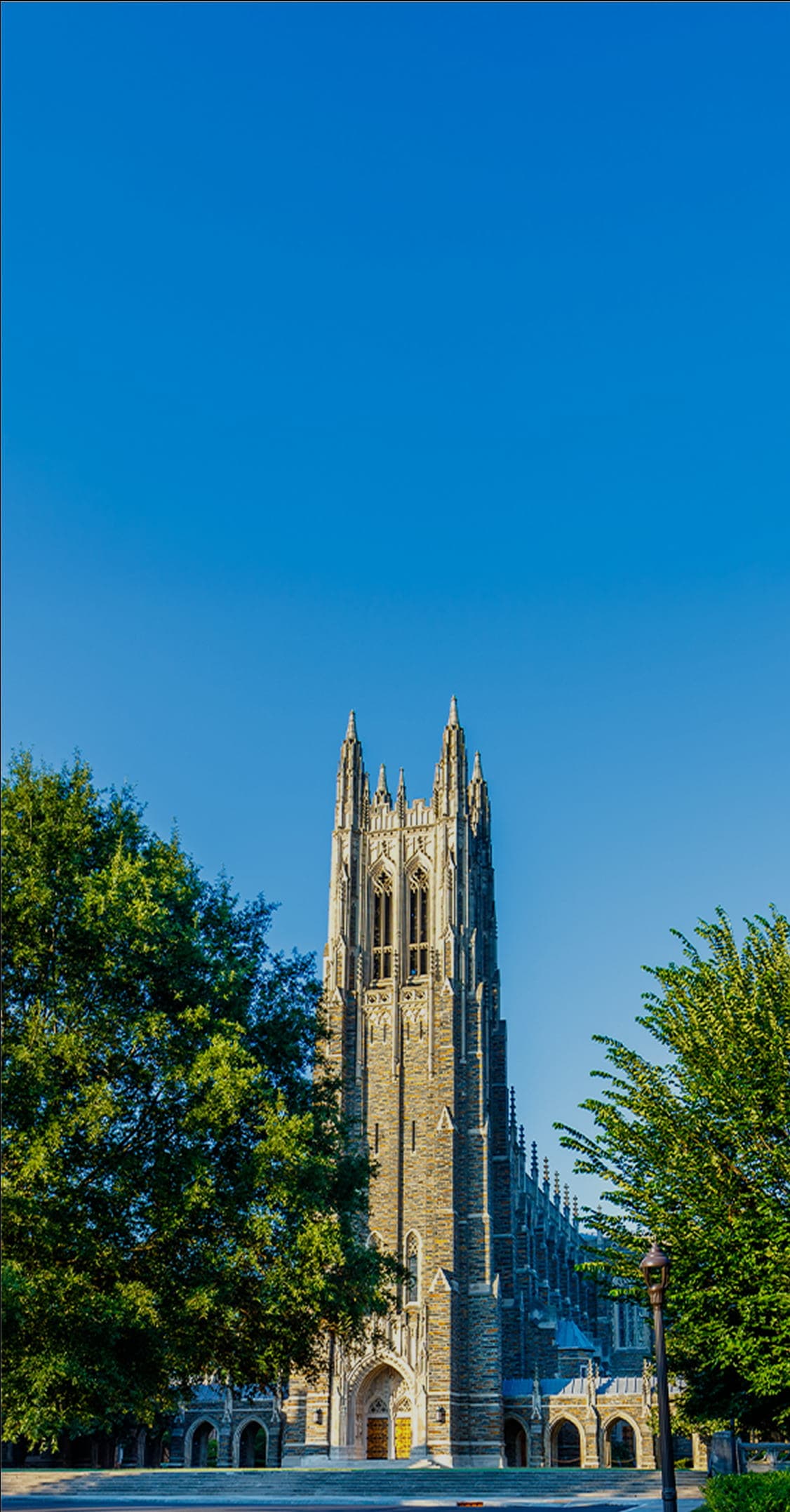 Get Your Application Reviewed by a Former Admissions Officer