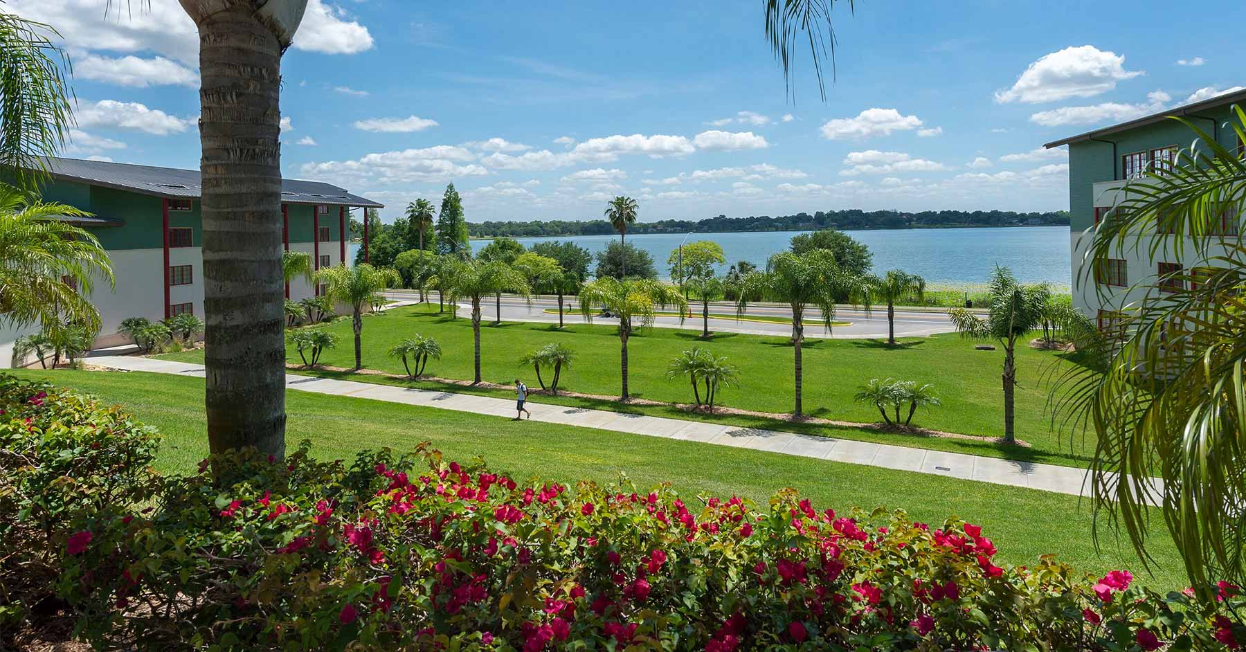 Florida State University Admits 19% of Students to the Class of 2029