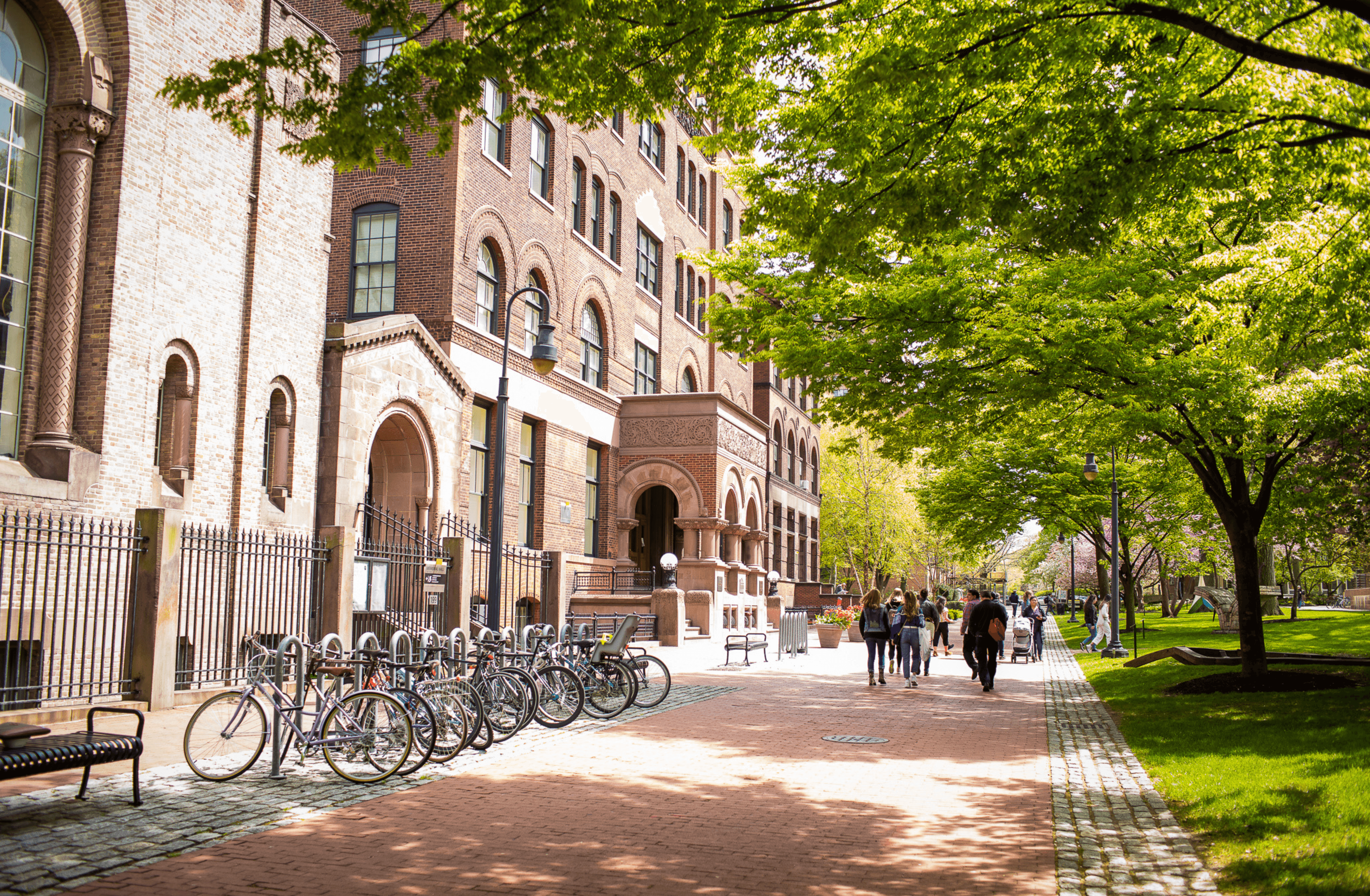 Free Summer Programs That Help High School Students Soar