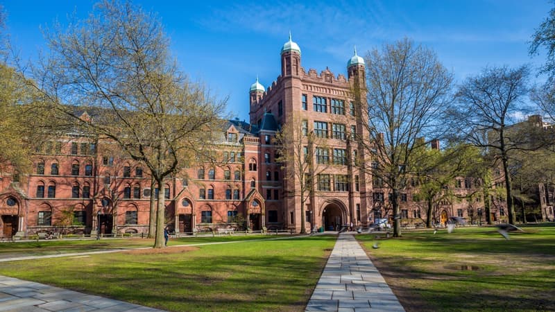 Harvard vs Yale: Battle of the Ivy Leagues