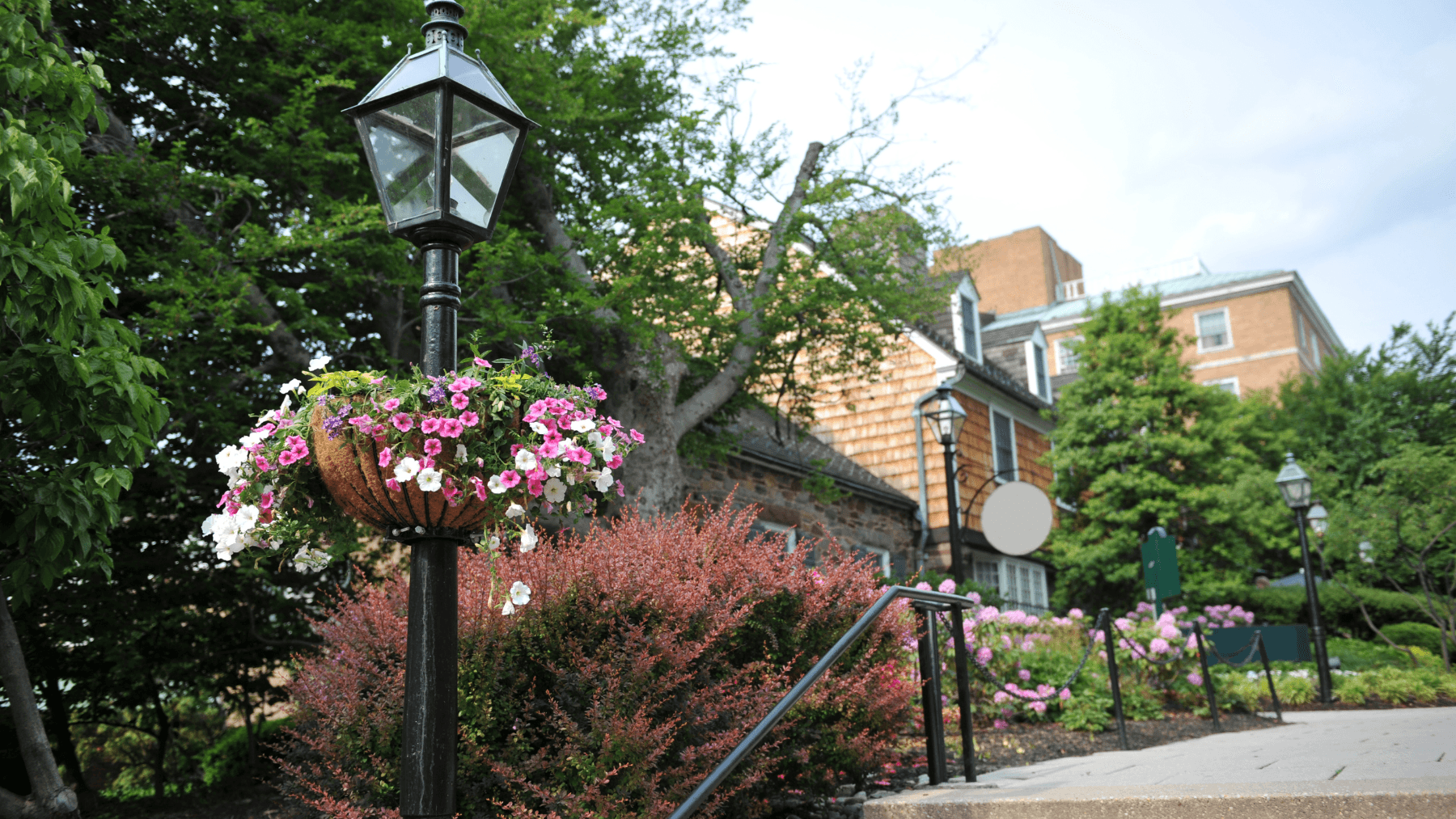 Princeton's Acceptance Rate for Class of 2029