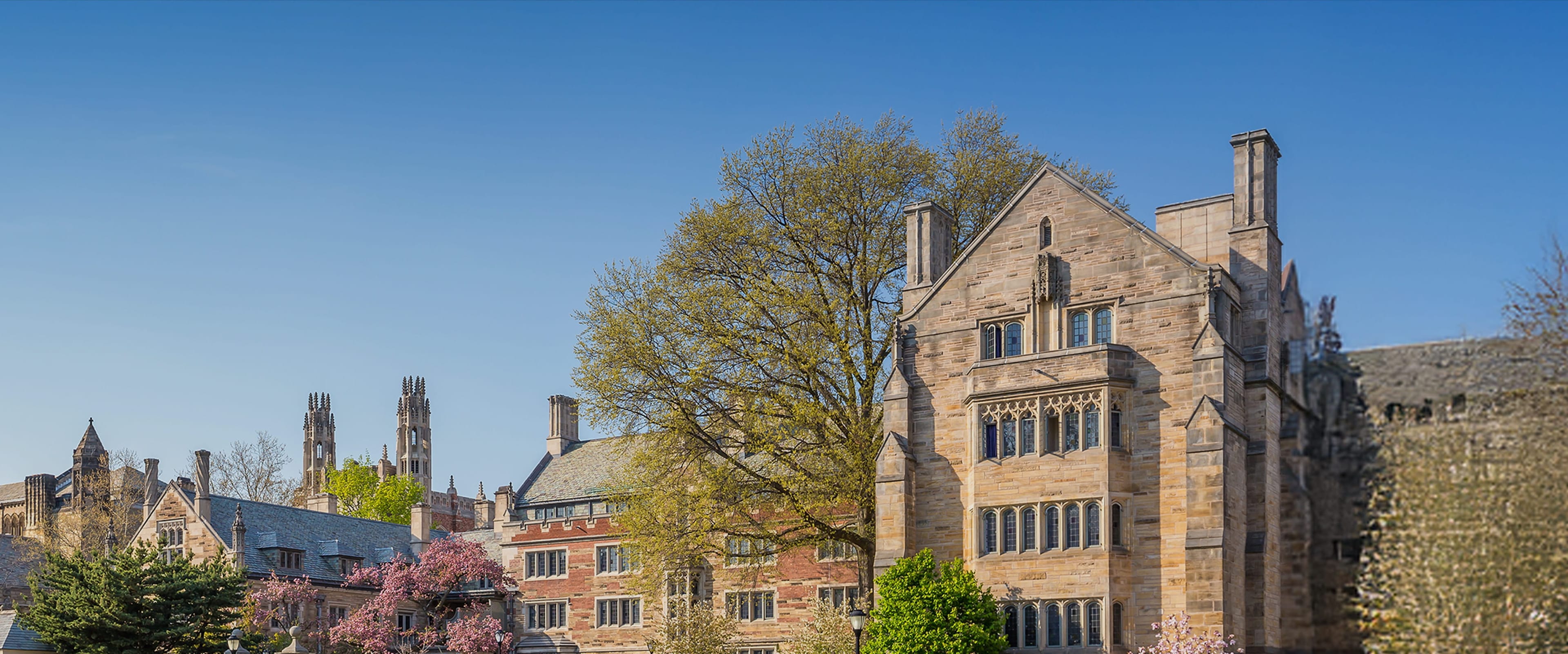 Get to Know Our College Counselors